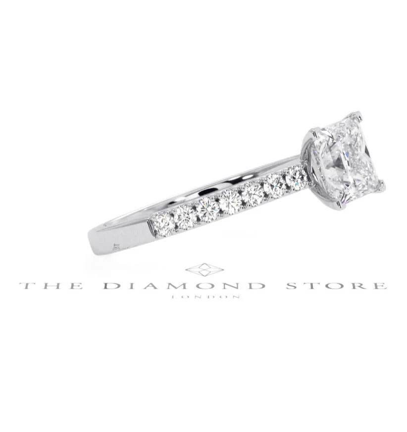 Product image 100
